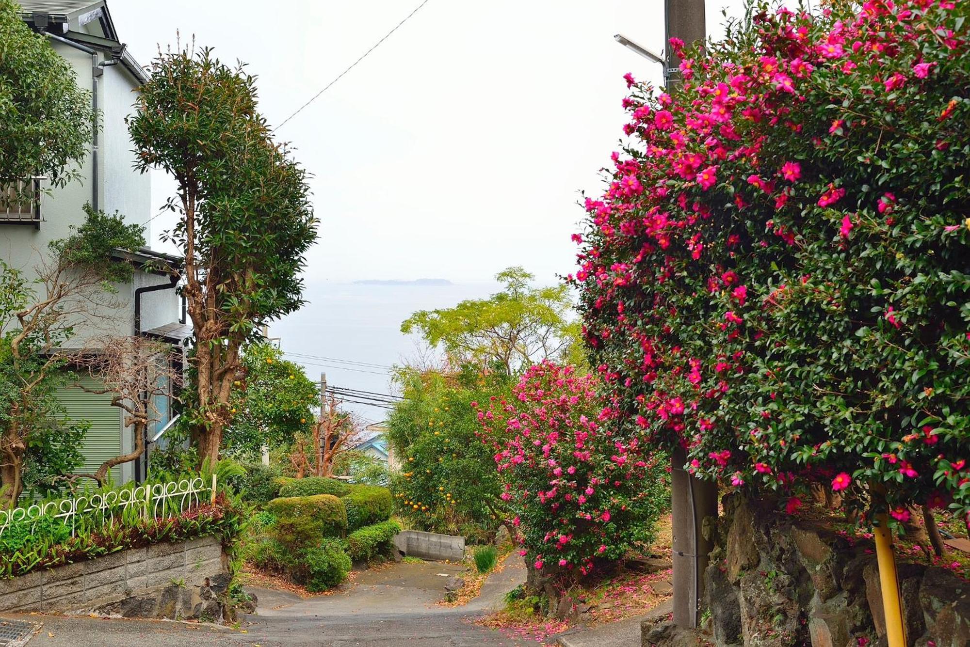 Holiday House 川奈 Itō Eksteriør billede